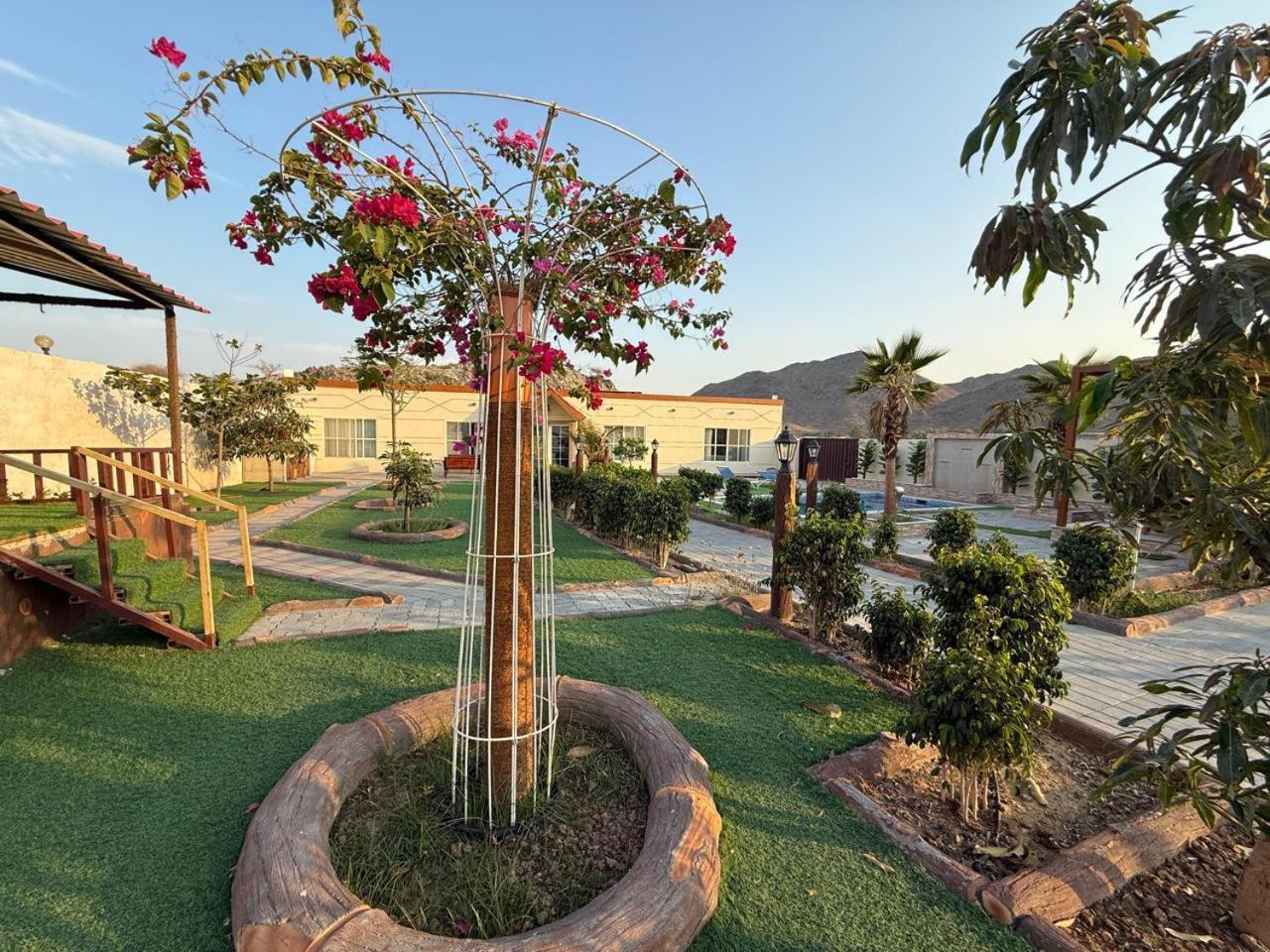 800 Mountain Resort Vacation House Fujairah Exterior foto